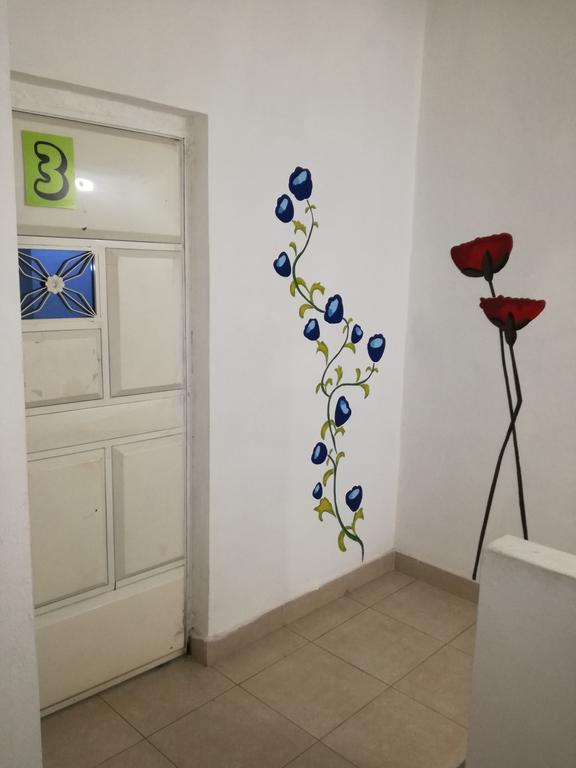 Apartment Francisco